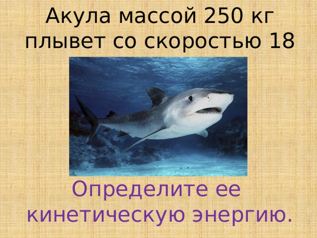 Акула массой 250 кг плывет со скоростью 18 км/ч. Определите ее кинетическую энергию.