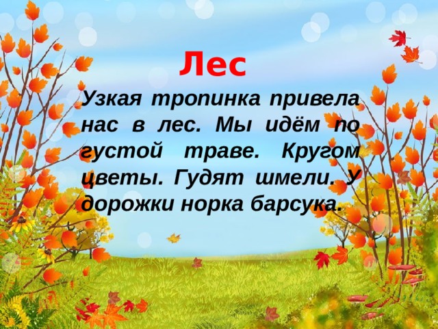 Мы идем по лесу