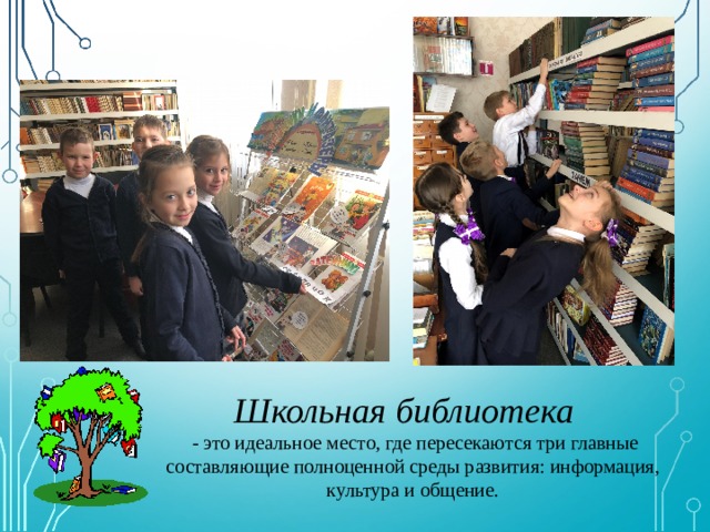 Школьная библиотека   - это идеальное место, где пересекаются три главные составляющие полноценной среды развития: информация, культура и общение. 