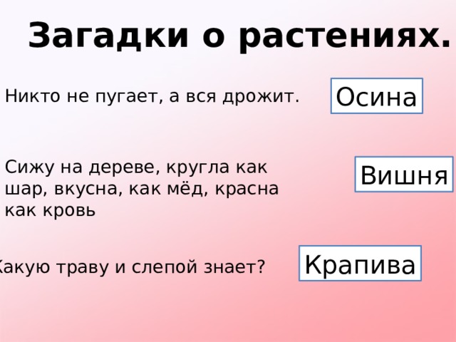 Загадки о растениях. Осина Никто не пугает, а вся дрожит. Сижу на дереве, кругла как шар, вкусна, как мёд, красна как кровь Вишня Крапива Какую траву и слепой знает? 