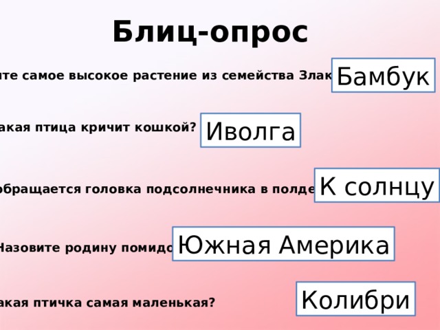 Блиц-опрос Бамбук Назовите самое высокое растение из семейства Злаковые . Иволга Какая птица кричит кошкой? К солнцу Куда обращается головка подсолнечника в полдень? Южная Америка Назовите родину помидора Колибри Какая птичка самая маленькая?  