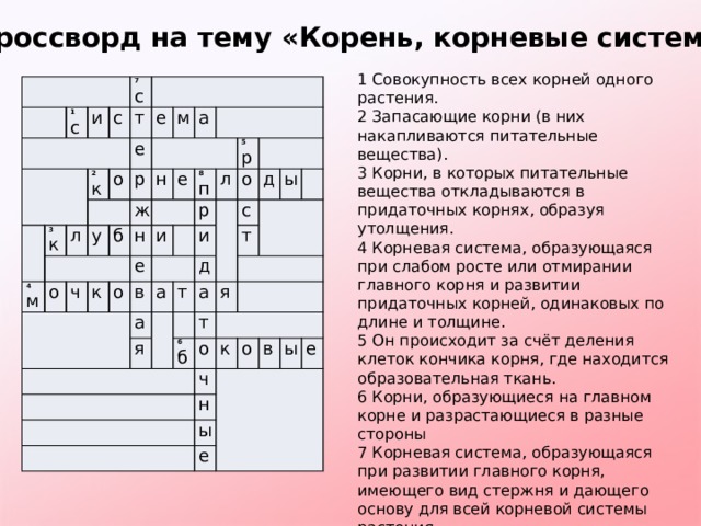 Кроссворд на тему «Корень, корневые системы». 1 Совокупность всех корней одного растения. 2 Запасающие корни (в них накапливаются питательные вещества). 3 Корни, в которых питательные вещества откладываются в придаточных корнях, образуя утолщения. 4 Корневая система, образующаяся при слабом росте или отмирании главного корня и развитии придаточных корней, одинаковых по длине и толщине. 5 Он происходит за счёт деления клеток кончика корня, где находится образовательная ткань. 6 Корни, образующиеся на главном корне и разрастающиеся в разные стороны 7 Корневая система, образующаяся при развитии главного корня, имеющего вид стержня и дающего основу для всей корневой системы растения. 8 Корни, образующиеся на нижней части стебля, ветвятся, дают мочковатую корневую систему (кукуруза) .       1 с и с 7 с т 2 к 3 к   е о 4 м е л м у о р ч б а н ж е н   к   о е и 8 п в л р   5 р   и а а о д т я д с а т ы я 6 б т о ч к н о ы в е ы е 