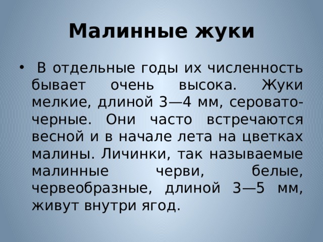 Малинные жуки  В отдельные годы их численность бывает очень высока. Жуки мелкие, длиной 3—4 мм, серовато-черные. Они часто встречаются весной и в начале лета на цветках малины. Личинки, так называемые малинные черви, белые, червеобразные, длиной 3—5 мм, живут внутри ягод. 