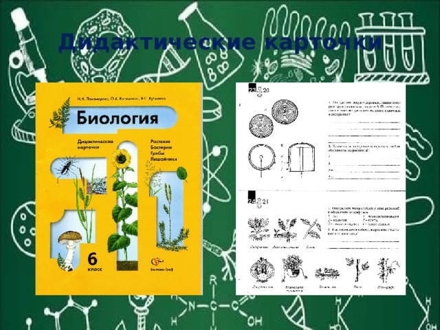 Дидактические карточки 