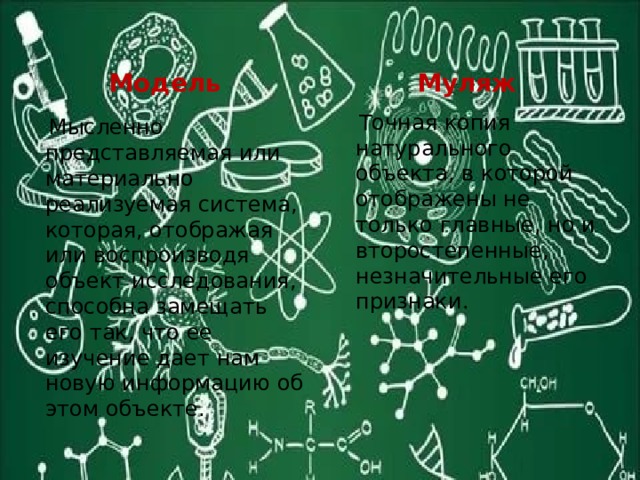 Модель Муляж  Точная копия натурального объекта, в которой отображены не только главные, но и второстепенные, незначительные его признаки.  Мысленно представляемая или материально реализуемая система, которая, отображая или воспроизводя объект исследования, способна замещать его так, что ее изучение дает нам новую информацию об этом объекте. 