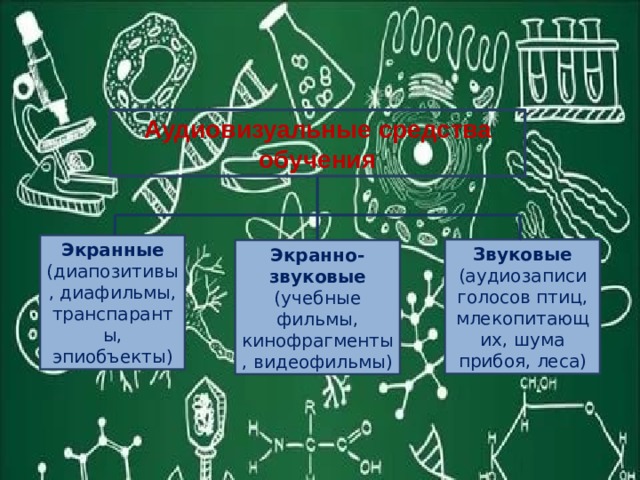 Аудиовизуальные средства обучения Экранные (диапозитивы, диафильмы, транспаранты, эпиобъекты) Звуковые (аудиозаписи голосов птиц, млекопитающих, шума прибоя, леса) Экранно-звуковые (учебные фильмы, кинофрагменты, видеофильмы) 