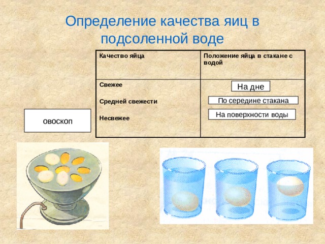 Определение качества яиц в подсоленной воде Качество яйца Положение яйца в стакане с водой Свежее   Средней свежести   Несвежее На дне По середине стакана На поверхности воды овоскоп 