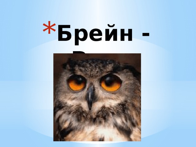 Брейн - Ринг 