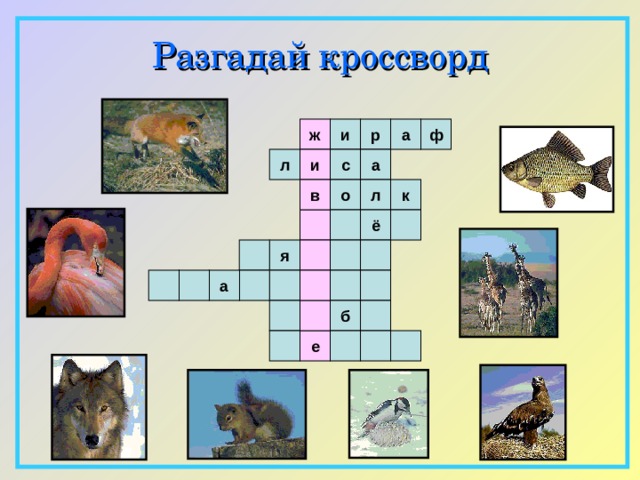 Разгадай  кроссворд ф ж и р а а с л и в о л к ё   я а    б е  