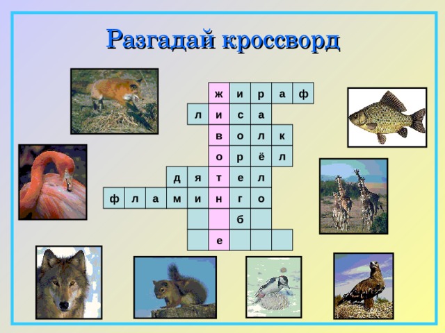 Разгадай  кроссворд ф ж и р а а с л и в о л к р ё л о л д я т е а ф г о м и л н  б е  