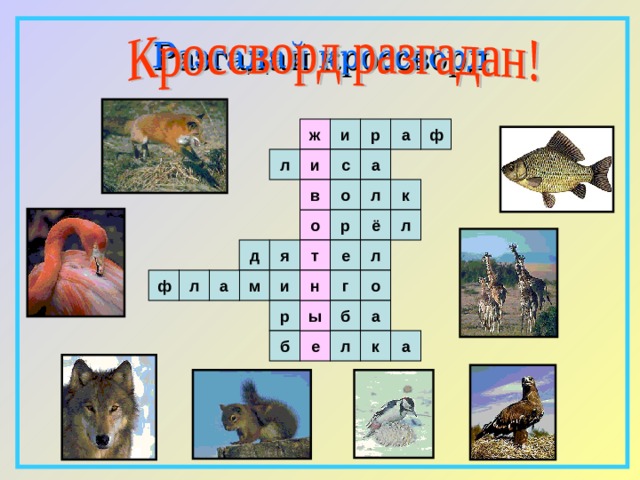 Разгадай  кроссворд и р а ф ж л и с а л к в о р ё л о л е т я д о н и г а м ф л б а ы р е л а к б 