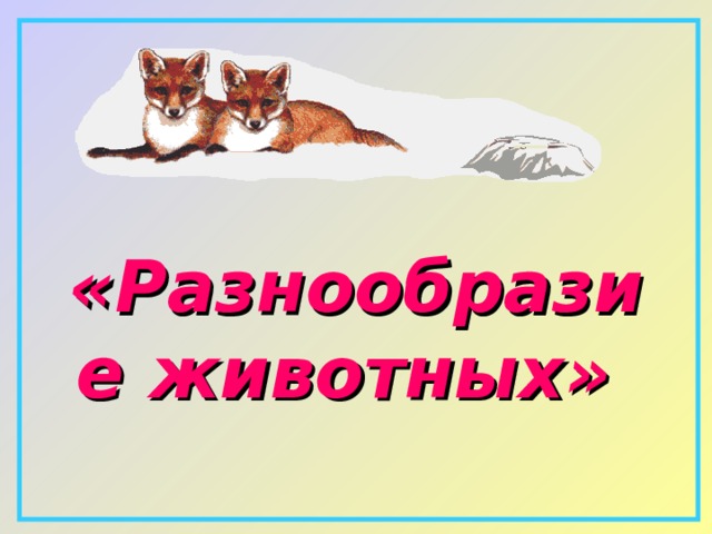    «Разнообразие животных»   