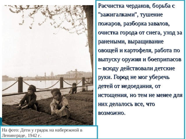 Расчистка чердаков, борьба с 