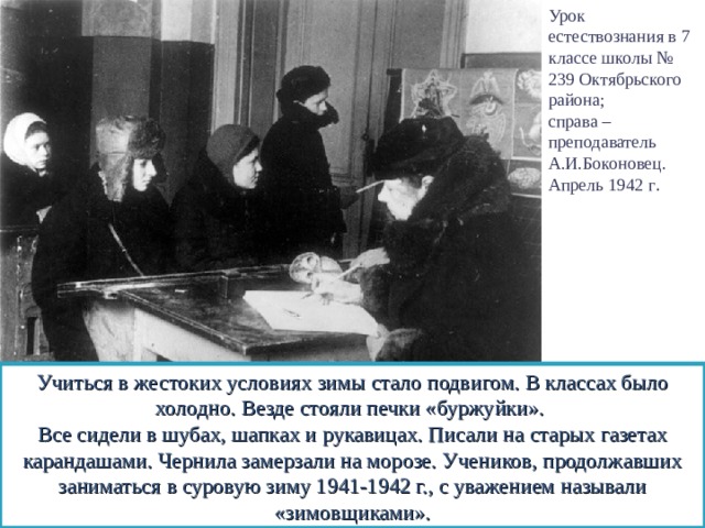 Урок естествознания в 7 классе школы № 239 Октябрьского района; справа – преподаватель А.И.Боконовец. Апрель 1942 г . Учиться в жестоких условиях зимы стало подвигом. В классах было холодно. Везде стояли печки «буржуйки». Все сидели в шубах, шапках и рукавицах. Писали на старых газетах карандашами. Чернила замерзали на морозе. Учеников, продолжавших заниматься в суровую зиму 1941-1942 г., с уважением называли «зимовщиками». 