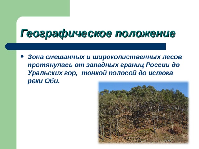 Урок по теме: Зона смешанных и широколиственных лесов