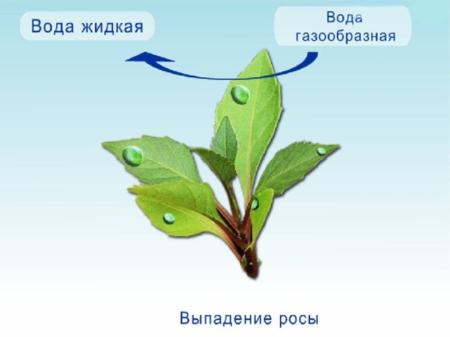 Что такое осадки 2 класс. Смотреть фото Что такое осадки 2 класс. Смотреть картинку Что такое осадки 2 класс. Картинка про Что такое осадки 2 класс. Фото Что такое осадки 2 класс