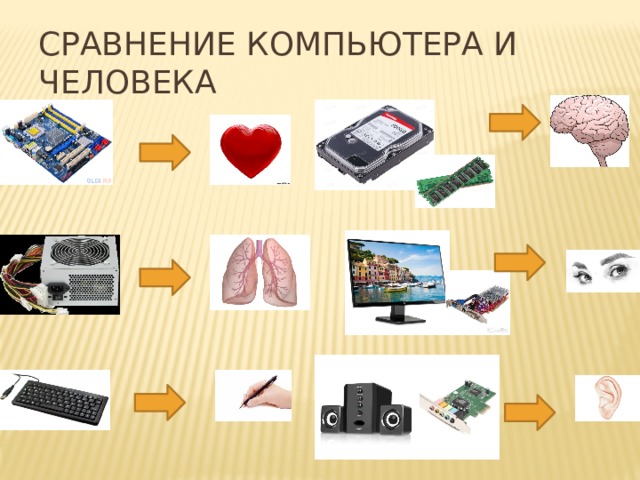 Сравнение компьютера и человека 