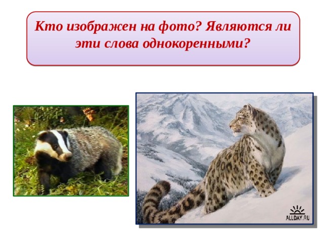 Кто изображен на фото? Являются ли эти слова однокоренными? 