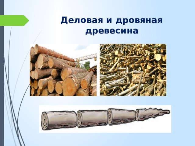 Деловая и дровяная древесина 