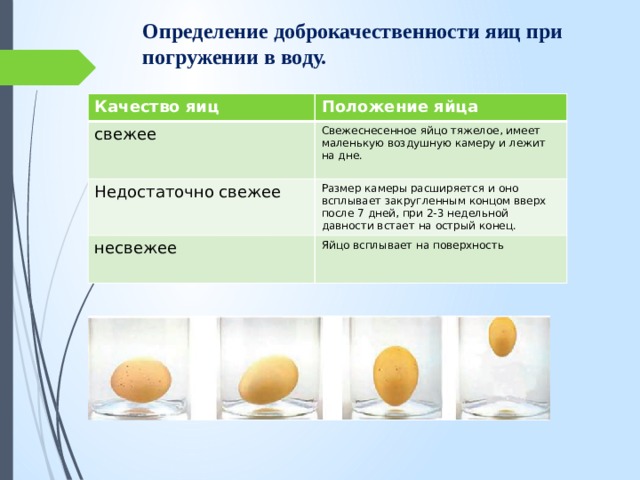 Оценка качества яиц. Размер воздушной камеры инкубационного яйца. Таблица определение доброкачественности яиц 5 класс. Таблица определения доброкачественности яиц. Определение качества яиц.