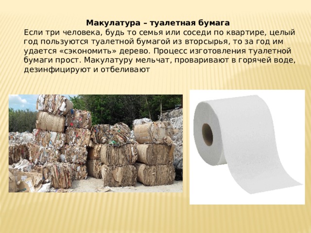 Макулатура – туалетная бумага  Если три человека, будь то семья или соседи по квартире, целый год пользуются туалетной бумагой из вторсырья, то за год им удается «сэкономить» дерево. Процесс изготовления туалетной бумаги прост. Макулатуру мельчат, проваривают в горячей воде, дезинфицируют и отбеливают 
