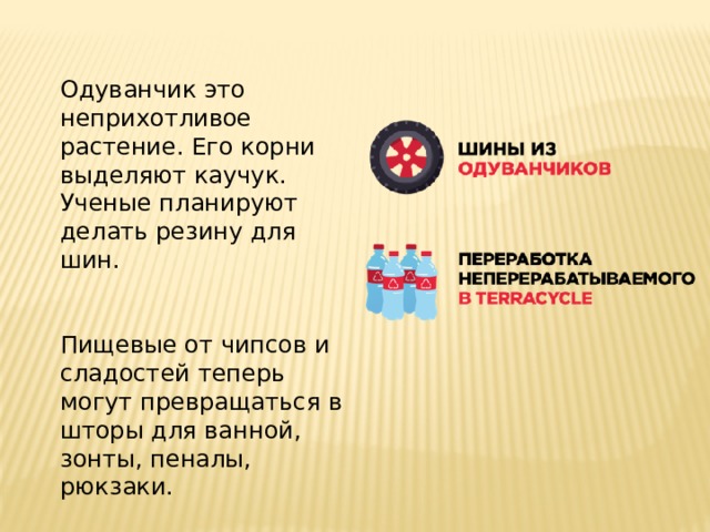 Одуванчик это неприхотливое растение. Его корни выделяют каучук. Ученые планируют делать резину для шин. Пищевые от чипсов и сладостей теперь могут превращаться в шторы для ванной, зонты, пеналы, рюкзаки. 
