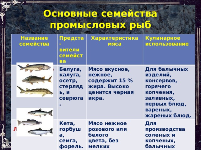 Представители группы рыбы 3. Семейство тресковые промысловые рыбы. Классификация промысловых семейств рыб таблица. Характеристика основных семейств промысловых рыб. Промысловые рыбы таблица.