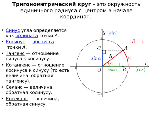 Точки тригонометрического круга. Тригонометрическая окружность синус. Понятие синуса и косинуса на единичной окружности. Определение синуса на единичной окружности. Единичная окружность синус косинус.