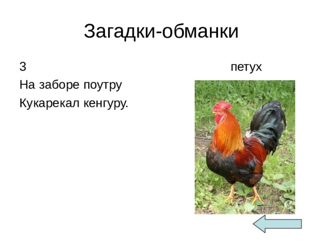 Загадки-обманки 3 На заборе поутру Кукарекал кенгуру.  петух 