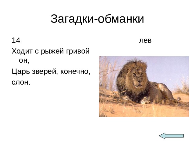 Загадки-обманки 14 Ходит с рыжей гривой он, Царь зверей, конечно, слон.  лев 