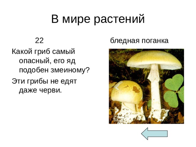 В мире растений  22 Какой гриб самый опасный, его яд подобен змеиному? Эти грибы не едят даже черви.  бледная поганка 