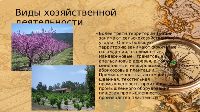 Виды хозяйственной деятельности Более трети территории Турции занимают сельскохозяйственные угодья. Очень большую территорию занимают фруктовые насаждения, это лимонные, мандариновые,  гранатовые и апельсиновые деревья, а также миндальные, инжировые и абрикосовые плантации. Промышленность : автомобильная, швейная, текстильная промышленность, производство промышленного оборудования, пищевая промышленность, производство пластмассы. 