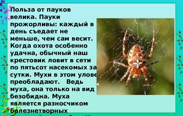 Польза от пауков велика. Пауки прожорливы: каждый в день съедает не меньше, чем сам весит. Когда охота особенно удачна, обычный наш крестовик ловит в сети по пятьсот насекомых за сутки. Мухи в этом улове преобладают. Ведь муха, она только на вид безобидна. Муха является разносчиком болезнетворных бактерий, микробов, На теле одной только мухи можно насчитать около 30 миллионов микробов! 