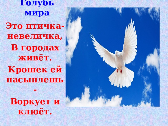 Голубь мира Это птичка-невеличка, В городах живёт. Крошек ей насыплешь- Воркует и клюёт. 