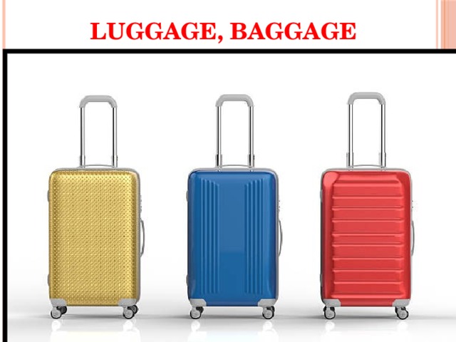 подбери синонимы luggage