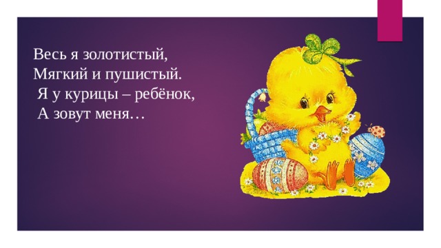 Весь я золотистый, Мягкий и пушистый.  Я у курицы – ребёнок,  А зовут меня… 