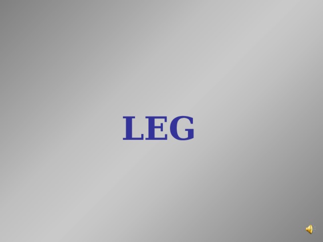 LEG    