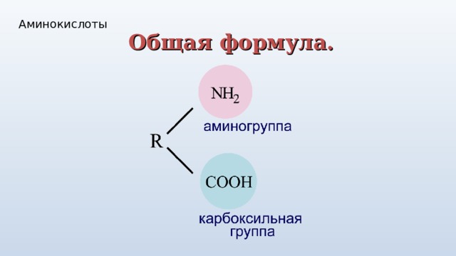 Аминокислоты Общая формула. 