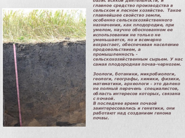 Земля является особо важным природным объектом, обладающим своей спецификой и оказывающим влияние и на другие природные объекты. Она и пространственный базис всякой деятельности, и главное средство производства в сельском и лесном хозяйстве. Такое главнейшее свойство земли, особенно сельскохозяйственного назначения, как плодородие, при умелом, научно обоснованном ее использовании не только не уменьшается, но и всемерно возрастает, обеспечивая население продовольствием, а промышленность - сельскохозяйственным сырьем. У нас самая плодородная почва-чернозем.  Зоологи, ботаники, микробиологи, геологи, географы, химики, физики, математики, археологи – это далеко не полный перечень специалистов, область интересов которых, связана с почвой.  В последнее время почвой заинтересовались и генетики, они работают над созданием генома почвы. 