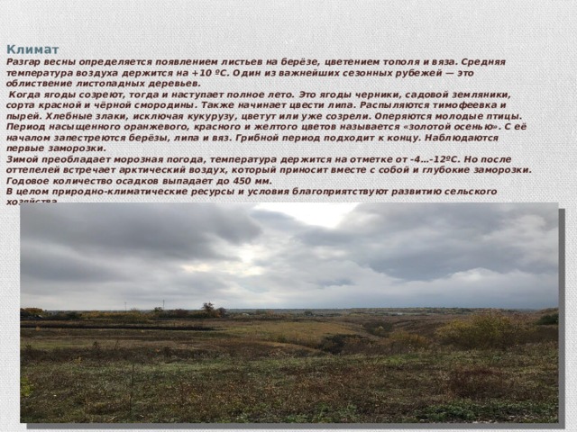 Климат  Разгар весны определяется появлением листьев на берёзе, цветением тополя и вяза. Средняя температура воздуха держится на +10 ºС. Один из важнейших сезонных рубежей — это облиствение листопадных деревьев.  Когда ягоды созреют, тогда и наступает полное лето. Это ягоды черники, садовой земляники, сорта красной и чёрной смородины. Также начинает цвести липа. Распыляются тимофеевка и пырей. Хлебные злаки, исключая кукурузу, цветут или уже созрели. Оперяются молодые птицы.  Период насыщенного оранжевого, красного и желтого цветов называется «золотой осенью». С её началом запестреются берёзы, липа и вяз. Грибной период подходит к концу. Наблюдаются первые заморозки.  Зимой преобладает морозная погода, температура держится на отметке от -4…-12ºС. Но после оттепелей встречает арктический воздух, который приносит вместе с собой и глубокие заморозки.  Годовое количество осадков выпадает до 450 мм.  В целом природно-климатические ресурсы и условия благоприятствуют развитию сельского хозяйства.    