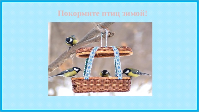 Покормите птиц зимой! 