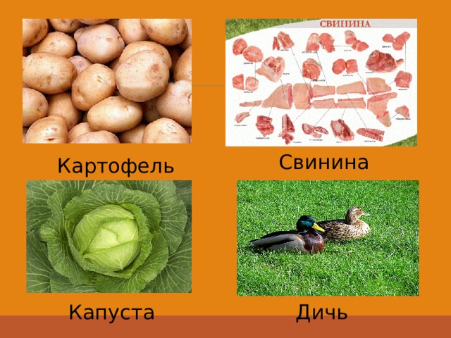 Свинина Картофель Капуста Дичь 
