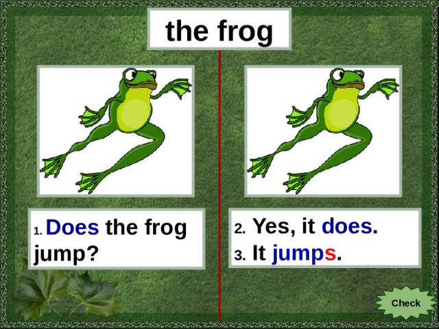 the frog 1.  Does  the frog jump? 2. Yes, it does . 3. It jump s . Check 