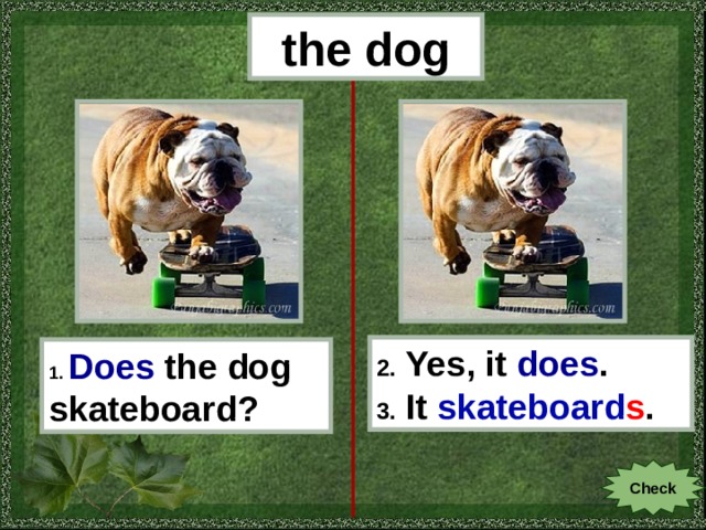 the dog 2. Yes, it does . 3. It skateboard s . 1.  Does  the dog skateboard ? Check 