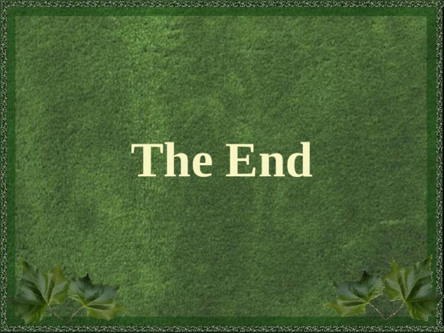 The End 