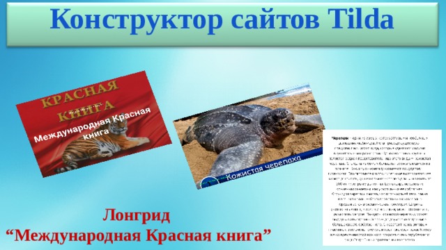 Конструктор сайтов Tilda Лонгрид “ Международная Красная книга” 