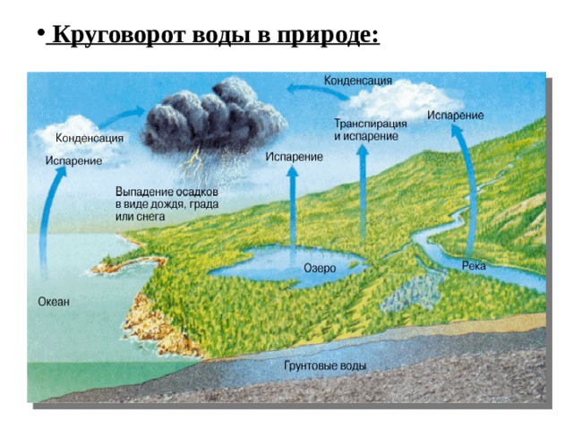  Круговорот воды в природе: 