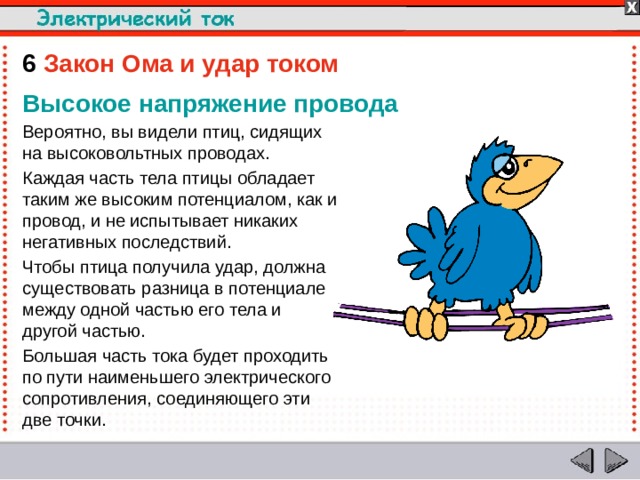 6  Закон Ома и удар током Высокое напряжение провода Вероятно, вы видели птиц, сидящих на высоковольтных проводах. Каждая часть тела птицы обладает таким же высоким потенциалом, как и провод, и не испытывает никаких негативных последствий. Чтобы птица получила удар, должна существовать разница в потенциале между одной частью его тела и другой частью. Большая часть тока будет проходить по пути наименьшего электрического сопротивления, соединяющего эти две точки.  