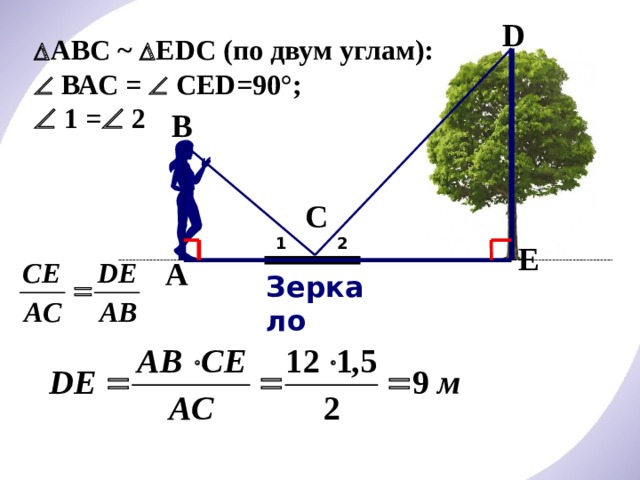 D  АВС ~  ЕDС (по двум углам):   ВАС =  СED=90°;   1 =  2 В С 2 1 E А Зеркало 