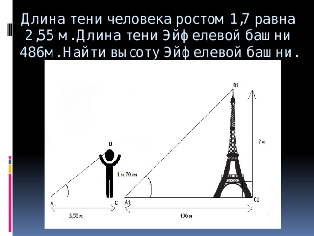 Длина тени человека ростом 1,7 равна 2,55 м. Длина тени Эйфелевой башни 486м. Найти высоту Эйфелевой башни.   